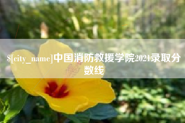 宜昌中国消防救援学院2021录取分数线