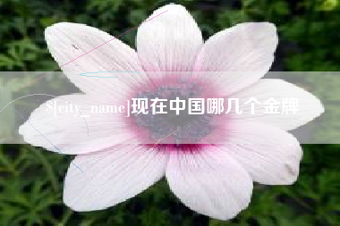 宜昌现在中国哪几个金牌