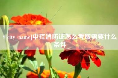 宜昌中控消防证怎么考取需要什么条件
