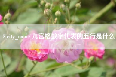 宜昌九宫格数字代表的五行是什么