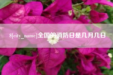 宜昌全国的消防日是几月几日