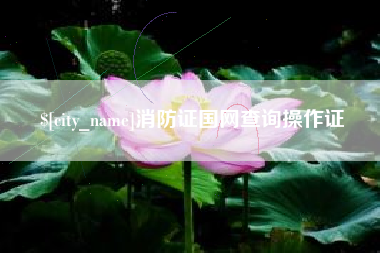 宜昌消防证国网查询操作证