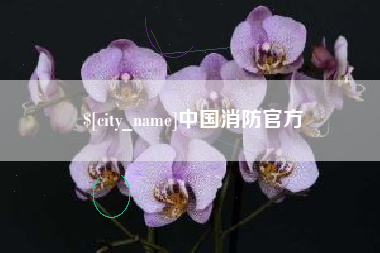 宜昌中国消防官方