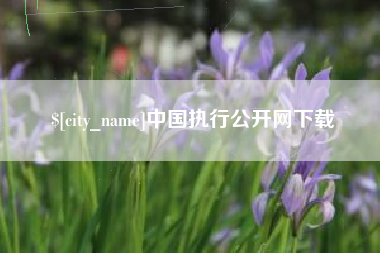 宜昌中国执行公开网下载