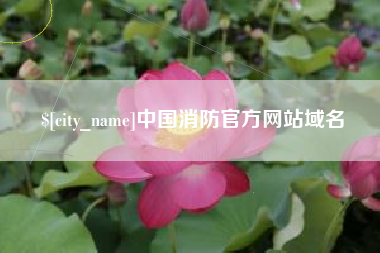 宜昌中国消防官方网站域名