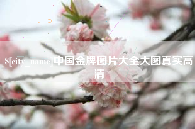 宜昌中国金牌图片大全大图真实高清