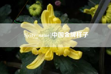 宜昌中国金牌样子
