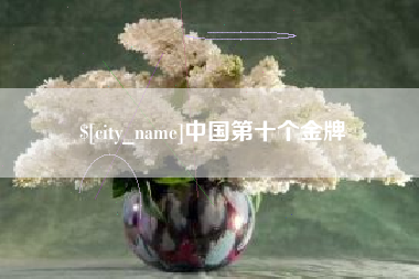 宜昌中国第十个金牌