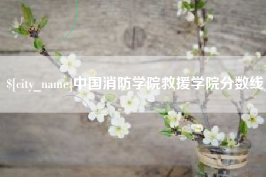 宜昌中国消防学院救援学院分数线
