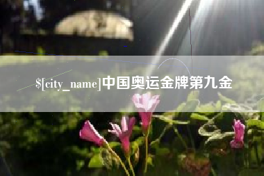 宜昌中国奥运金牌第九金
