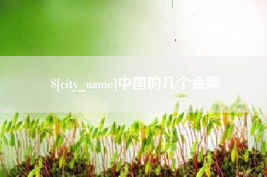 宜昌中国的几个金牌