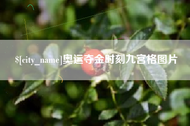 宜昌奥运夺金时刻九宫格图片