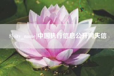 宜昌中国执行信息公开网失信