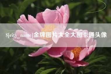 宜昌金牌图片大全大图卡通头像