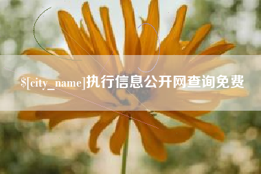 宜昌执行信息公开网查询免费