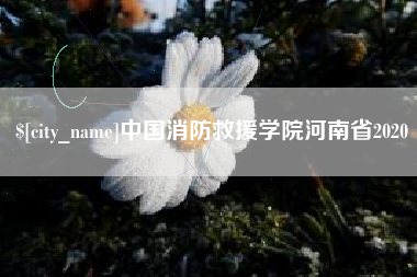 宜昌中国消防救援学院河南省2020